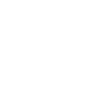 O'Neill wetsuit